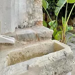 Casa Dahlia *