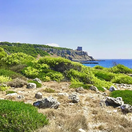 Casa Dahlia Apartment