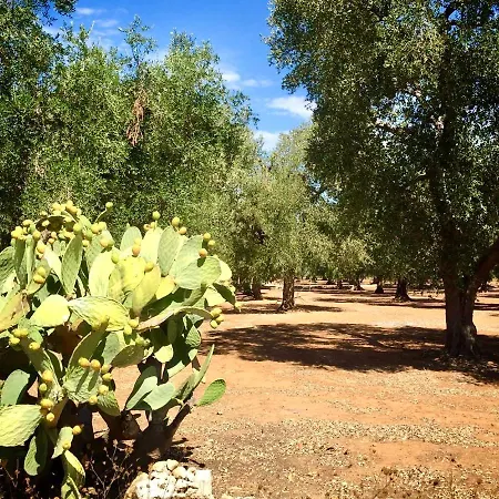 Apartment Casa Dahlia